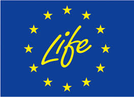 Logo Life