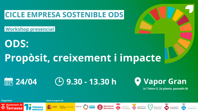 Workshop ODS: Propòsit, creixement i impacte