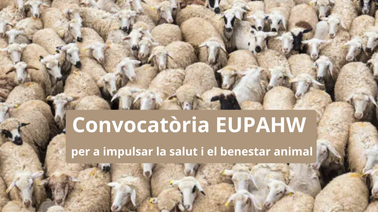 Convocatòria EUPAHW 2026: salut i benestar animal