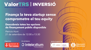 Finançament_intelectium Finançament_intelectium